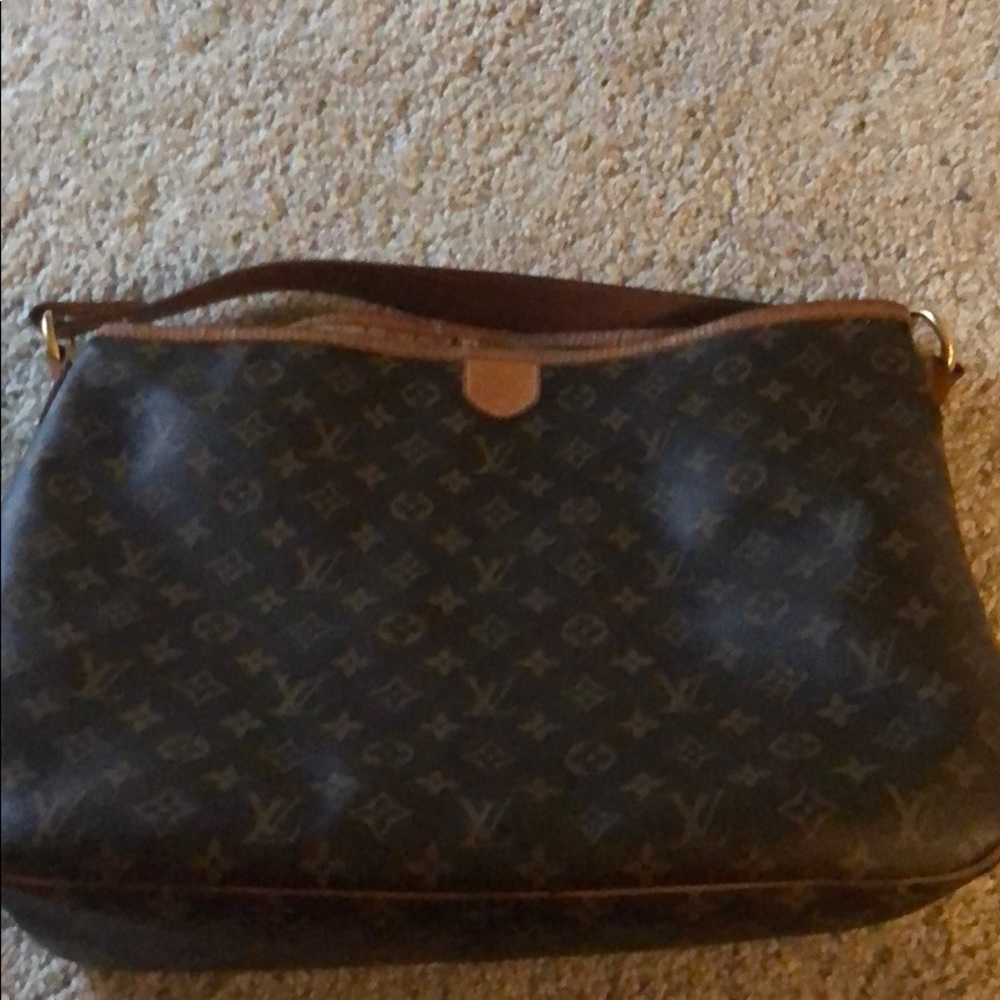 Louis Vuitton Delightful Handbag